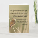 Buscar romanos 8 tarjetas Biblia