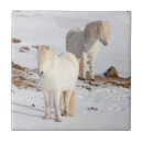 Buscar equus azulejos Nieve