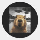 Buscar selfie pegatinas Familia