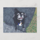 Buscar pintura del perro postales Blanco