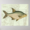 Buscar ocio posters Pesca