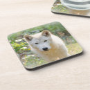 Buscar wildlife posavasos Canadá
