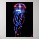 Buscar jellyfish arte Fotografía