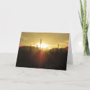 Buscar cactus del desierto tarjetas Foto