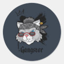 Buscar gato callejero pegatinas Gatito