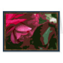 Buscar de la camelia General y unisex