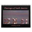 Buscar flamingo calendarios Ave