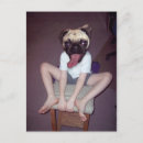 Buscar chica feliz postales General y unisex