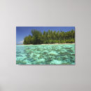 Buscar polinesia francesa lienzos Palmera