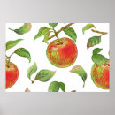 Buscar manzana verde posters Vintage