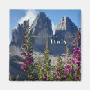 Buscar el tirol imanes Italia