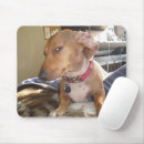 Buscar meme alfombrillas de raton Gracioso