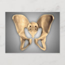 Buscar anatomía humana postales Detalle