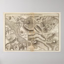 Buscar geología posters Tres