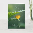 Buscar lloviendo tarjetas Lluvia