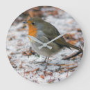 Buscar petirrojo posters Nieve