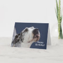 Buscar great dane tarjetas Grande