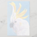 Buscar mohawk Retrato de aves