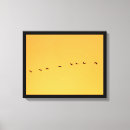 Buscar grúas fotografía Naturaleza