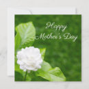 Buscar jazmín tarjetas Verde