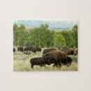 Buscar bisontes puzzles Vida silvestre