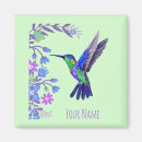 Buscar colibri imanes Pájaro