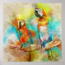 Buscar macaw posters Acuarela
