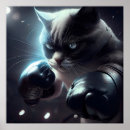 Buscar gatos posters Blanco