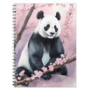 Buscar oso de panda cuadernos 6 º pesadilla