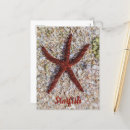 Buscar retro beach postales Vacaciones