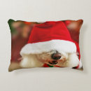 Buscar bichon cojines Animal