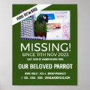 Buscar pájaros posters General y unisex