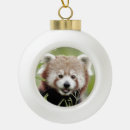 Buscar bola roja adornos Animal