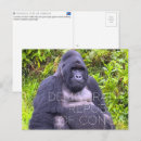 Buscar congo postales África