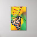 Buscar verbena arte Detalle