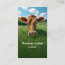 Buscar vacas tarjetas de visita Carne