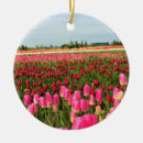 Buscar tulipanes adornos Naturaleza