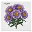 Buscar aster arte Cumpleaños de septiembre