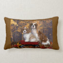 Buscar reyes cojines General y unisex