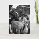 Buscar ramas fotograficas tarjetas Para todos
