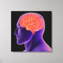 Buscar cuerpo humano lienzos Medicina