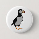 Buscar pajarito chapas General y unisex