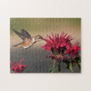 Buscar colibrí puzzles Flor