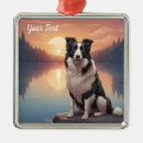 Buscar border collie adornos Perro