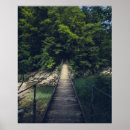 Buscar puente de cuerda posters Bosque