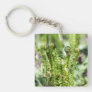 Buscar jardines llaveros Para ellos