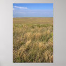 Buscar agricultura posters Paisajes