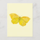 Buscar mariposa amarilla postales Para todos