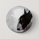 Buscar broches chapas Pernos
