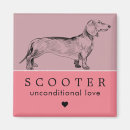 Buscar el salvador imanes Perro